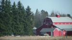 The Red Barn