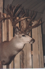 Broder Buck