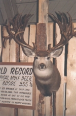 Broder Buck