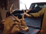 another year of deer hunting