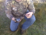 Duck Hunt