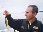 Yellow Wally Diver