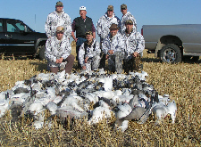 106 bird saskatchewan goose hunt